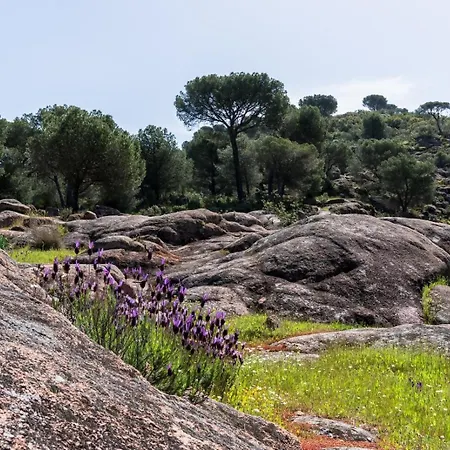 Casa El Paraíso Del Rural