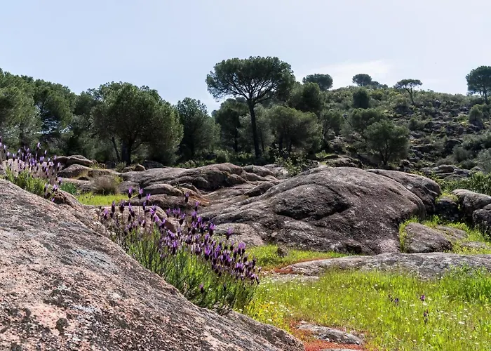 Casa El Paraíso Del Rural